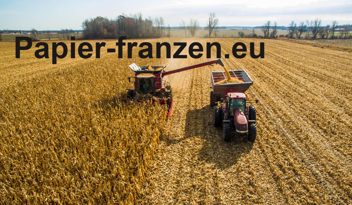 papier-franzen.eu